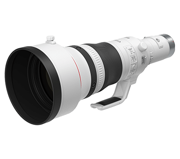 RF Lenses - RF800mm f/5.6L IS USM - Canon South & Southeast Asia